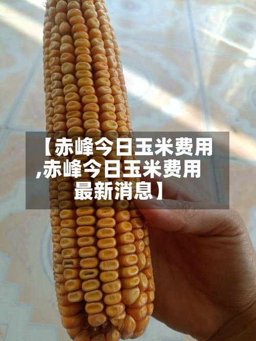 【赤峰今日玉米费用,赤峰今日玉米费用最新消息】