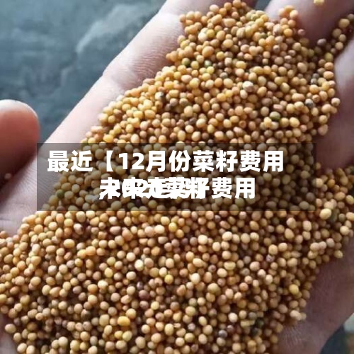 最近【12月份菜籽费用,2020菜籽费用未来走势】-第2张图片