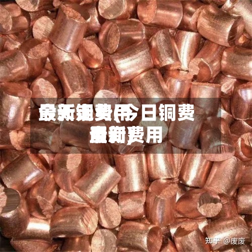今天铜费用
最新走势(今日铜费用
最新费用
查询)-第2张图片