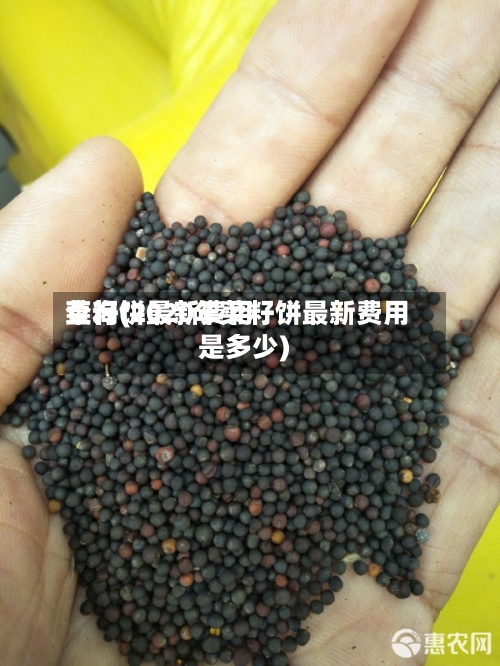 菜籽饼最新费用查询(2020年菜籽饼最新费用是多少)-第2张图片