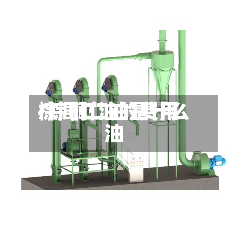 棕闾仁油的费用/棕榈仁油是什么油-第2张图片