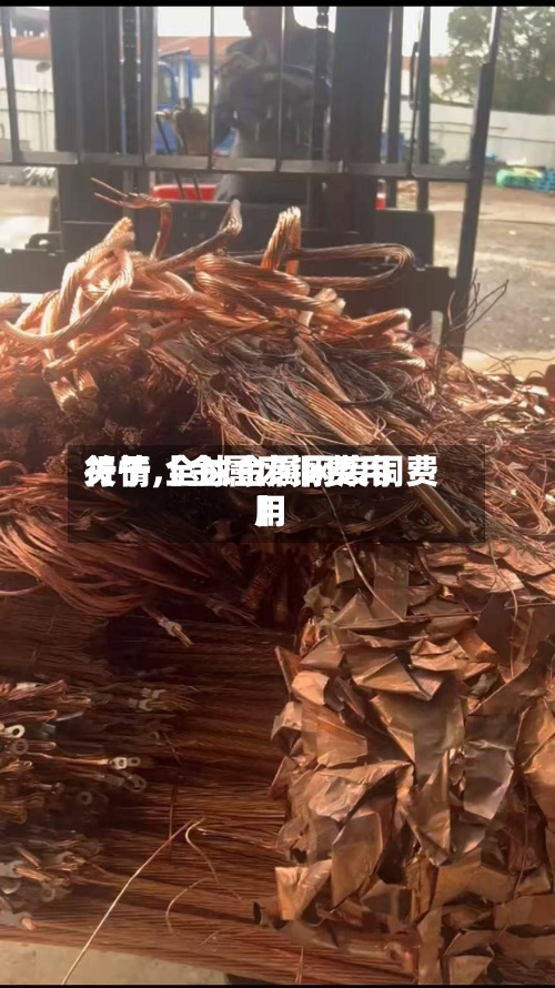 关于【金属废铜费用行情,全球金属网废铜费用】-第3张图片