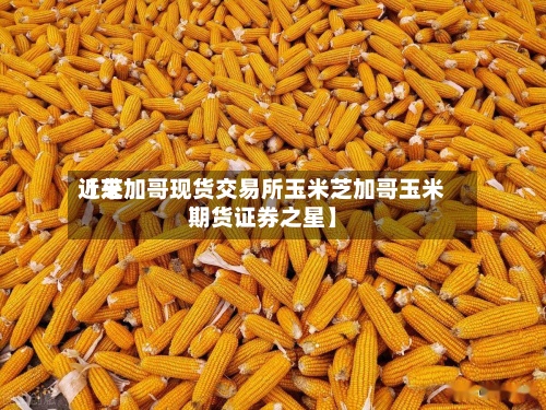 近来【芝加哥现货交易所玉米芝加哥玉米期货证券之星】-第2张图片