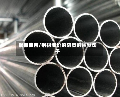 钢材费用上涨感言/钢材涨价的感觉的幽默句子-第2张图片