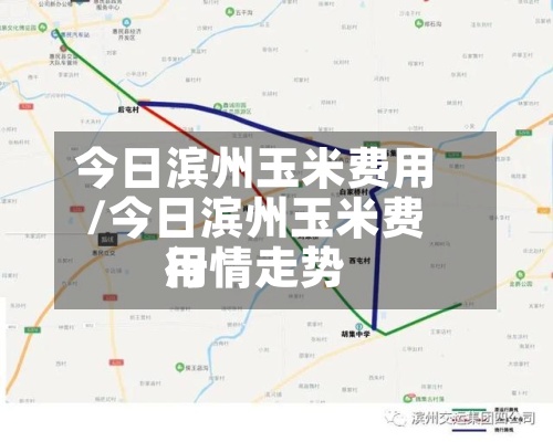 今日滨州玉米费用/今日滨州玉米费用行情走势