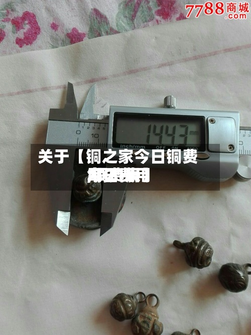 关于【铜之家今日铜费用,铜费用今日费用2021表】-第2张图片