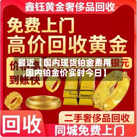 最近【国内现货铂金费用,国内铂金价实时今日】-第2张图片
