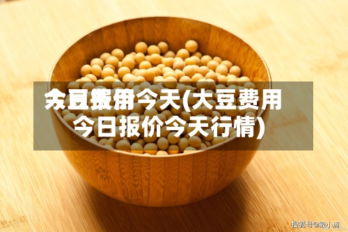 大豆费用今日报价今天(大豆费用今日报价今天行情)-第2张图片