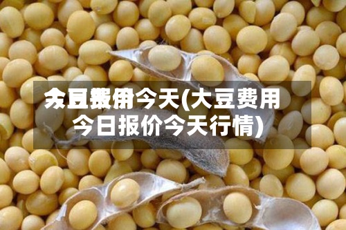 大豆费用今日报价今天(大豆费用今日报价今天行情)-第3张图片