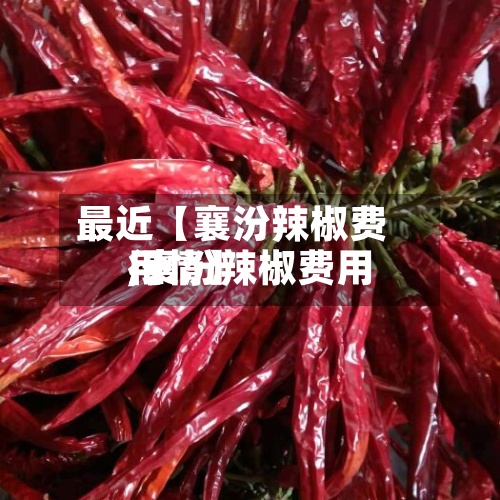 最近【襄汾辣椒费用
,襄汾辣椒费用
行情】-第3张图片