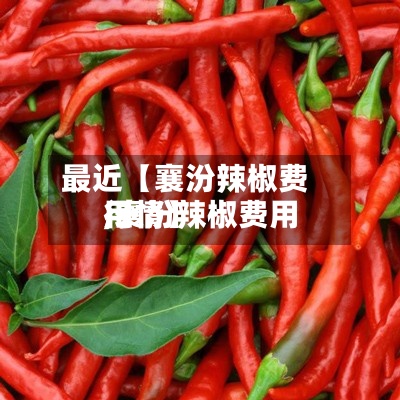最近【襄汾辣椒费用
,襄汾辣椒费用
行情】-第2张图片
