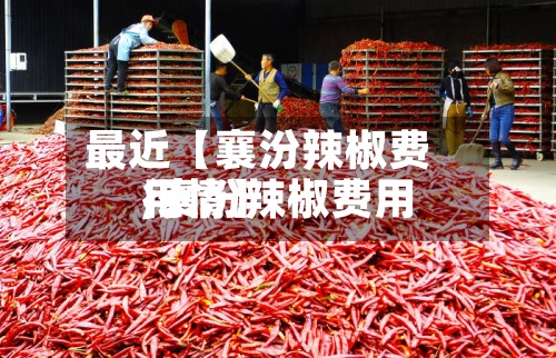 最近【襄汾辣椒费用,襄汾辣椒费用行情】