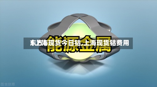 【上海现货今日钴,上海现货钴费用 东方】-第2张图片