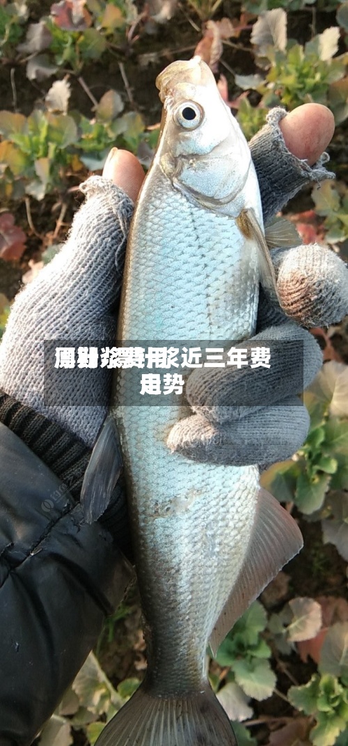 漂针浆费用周期/漂针浆近三年费用走势