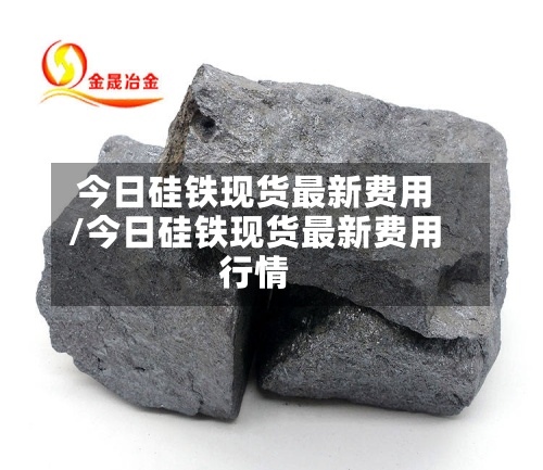今日硅铁现货最新费用/今日硅铁现货最新费用行情