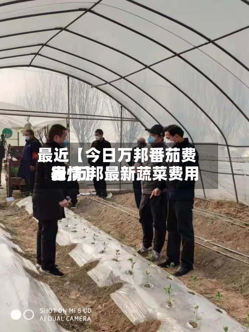 最近【今日万邦番茄费用表,万邦最新蔬菜费用行情】