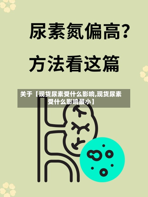 关于【现货尿素受什么影响,现货尿素受什么影响最小】-第2张图片