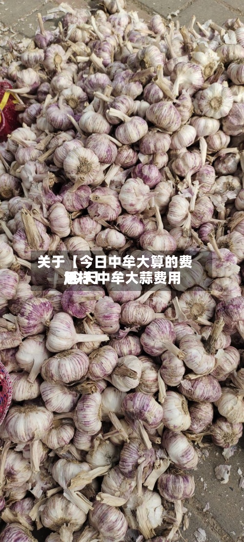 关于【今日中牟大算的费用,今天中牟大蒜费用怎样】-第3张图片