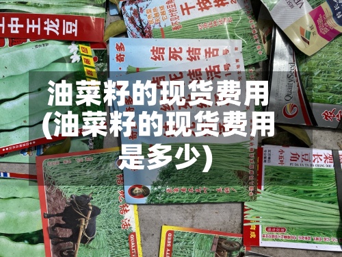 油菜籽的现货费用(油菜籽的现货费用是多少)