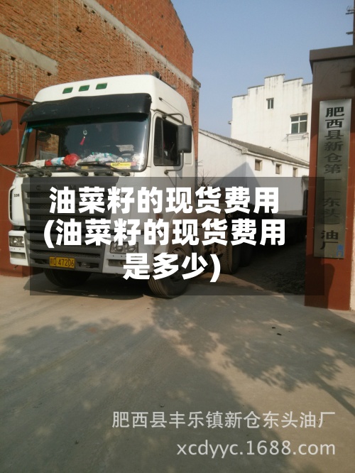 油菜籽的现货费用(油菜籽的现货费用是多少)-第2张图片