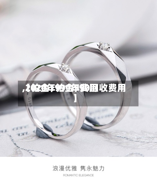 【铂金1999年费用,2020年铂金990回收费用】-第2张图片