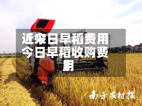 近来【今日早稻费用今日早稻收购费用】