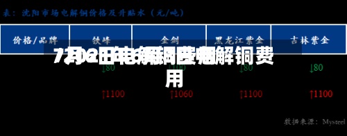 7月6日电解铜费用/2021年6月8日电解铜费用