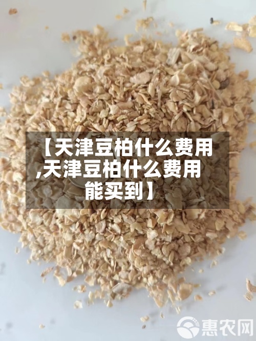 【天津豆柏什么费用,天津豆柏什么费用能买到】-第2张图片