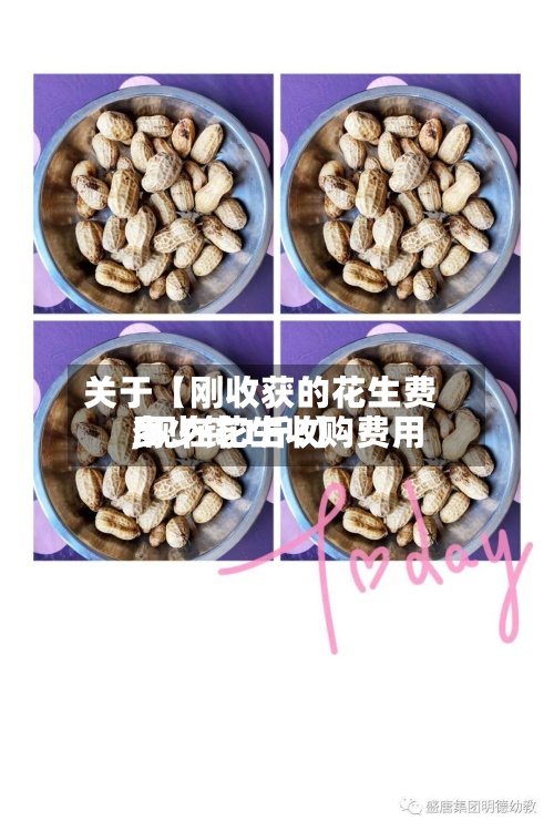 关于【刚收获的花生费用,现在花生收购费用多少钱1斤?】