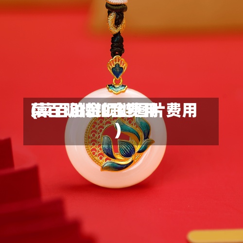 菜百明牌铂金费用(菜百铂金项链图片费用)-第2张图片