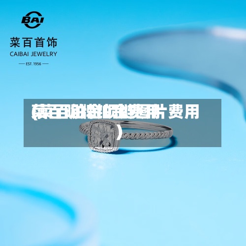 菜百明牌铂金费用(菜百铂金项链图片费用)