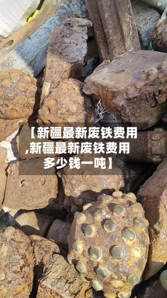 【新疆最新废铁费用,新疆最新废铁费用多少钱一吨】-第2张图片