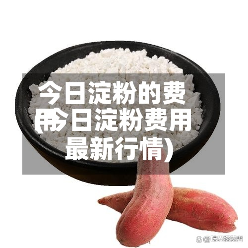 今日淀粉的费用(今日淀粉费用最新行情)
