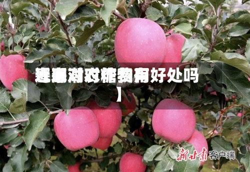 近来【寒潮对糖费用寒潮对农作物有好处吗】-第3张图片