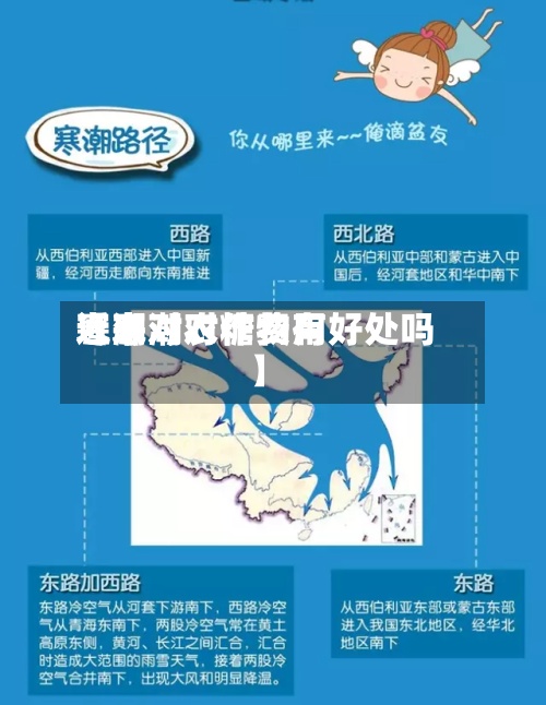 近来【寒潮对糖费用寒潮对农作物有好处吗】-第2张图片