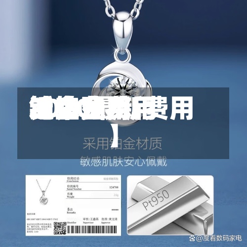 近来【铂金费用铂金费用铂金费用2020最新费用】-第2张图片