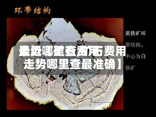 最近【矿石费用走势哪里查,矿石费用走势哪里查最准确】-第3张图片