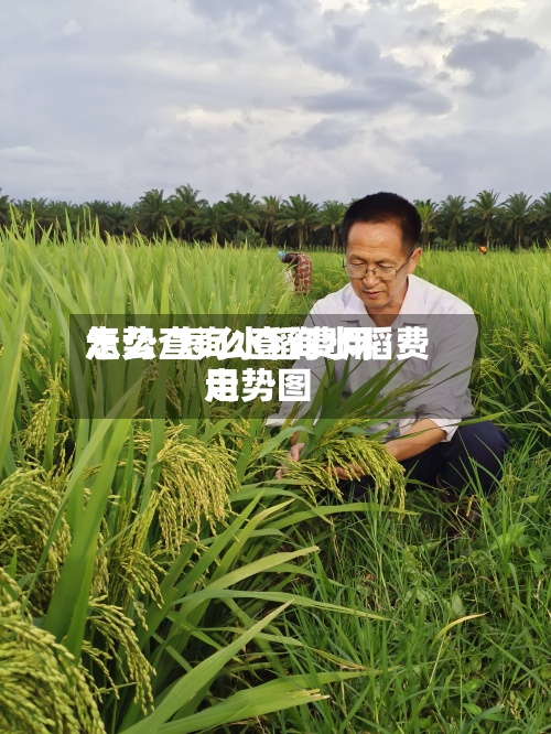 怎么查询水稻费用走势/怎么查询水稻费用走势图-第3张图片