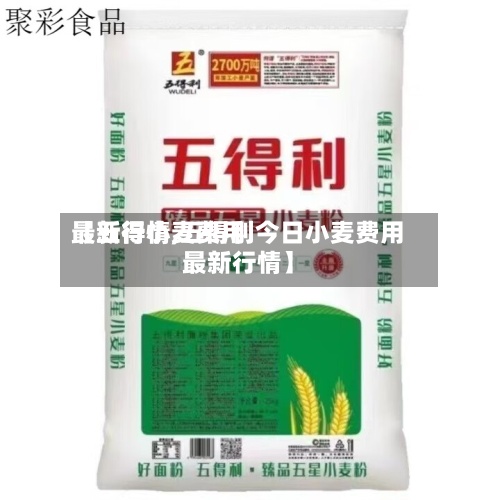【五得小麦费用最新行情,五得利今日小麦费用最新行情】