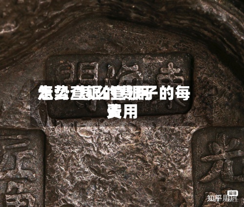 怎么查银的费用走势/怎么查银子的每天费用-第2张图片