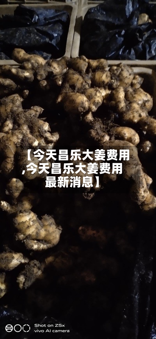 【今天昌乐大姜费用,今天昌乐大姜费用最新消息】-第2张图片