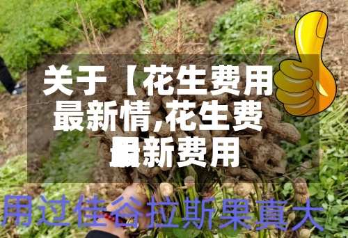 关于【花生费用最新情,花生费用最新费用】-第2张图片