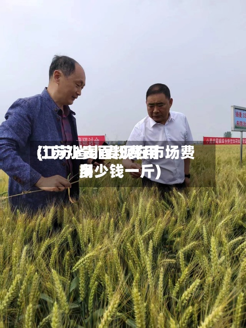江苏小麦面粉费用(江苏省小麦现在市场费用多少钱一斤)-第2张图片