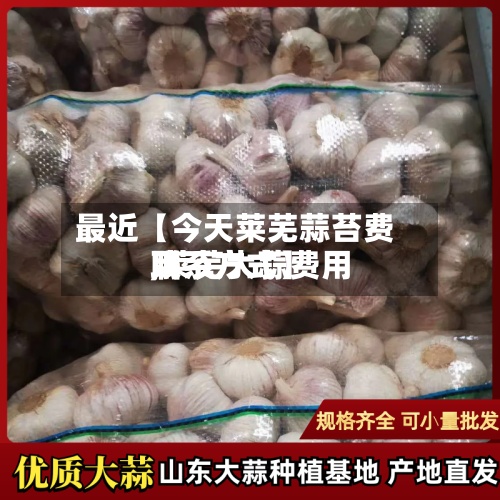 最近【今天莱芜蒜苔费用,莱芜大蒜费用联系方式】-第2张图片