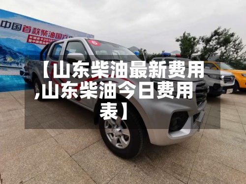 【山东柴油最新费用,山东柴油今日费用表】