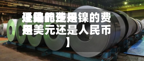 近来【镍的费用是美元还是镍的费用是美元还是人民币】-第3张图片