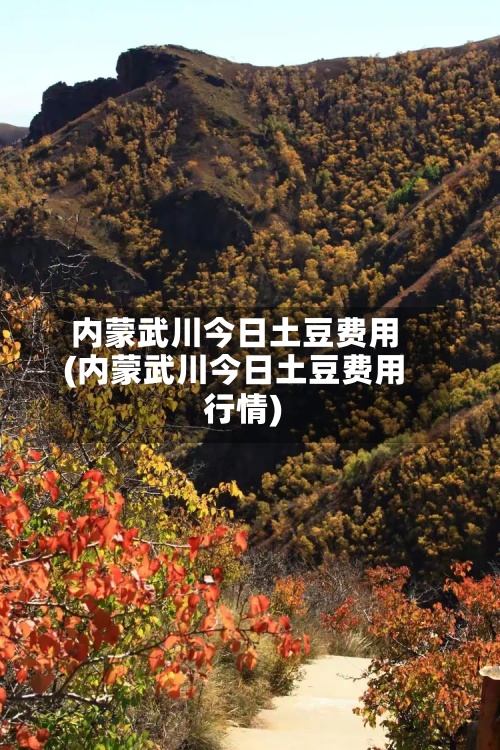 内蒙武川今日土豆费用(内蒙武川今日土豆费用行情)-第2张图片