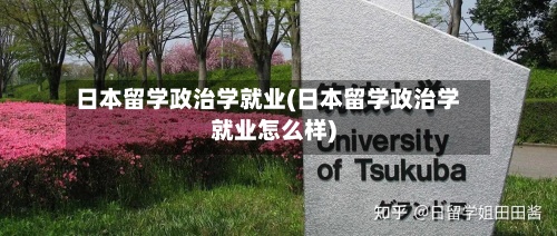 日本留学政治学就业(日本留学政治学就业怎么样)-第3张图片