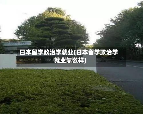 日本留学政治学就业(日本留学政治学就业怎么样)-第2张图片