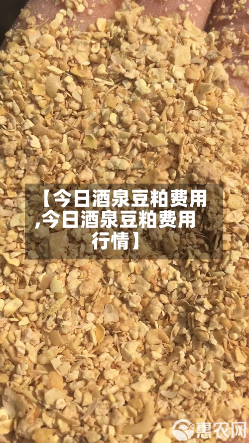 【今日酒泉豆粕费用,今日酒泉豆粕费用行情】